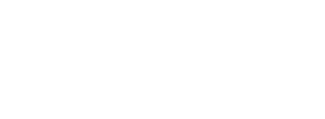 ai year