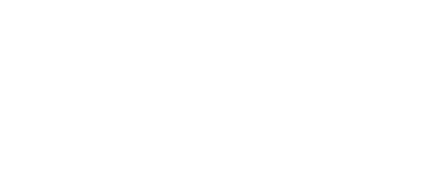 balady logo